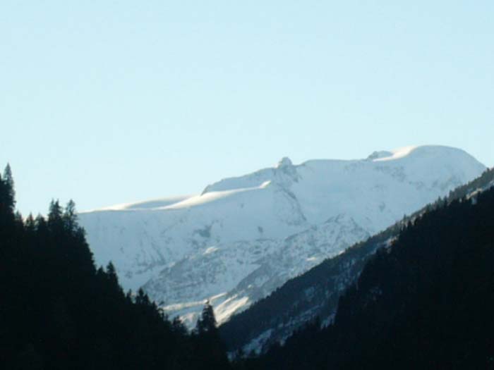 P1010205